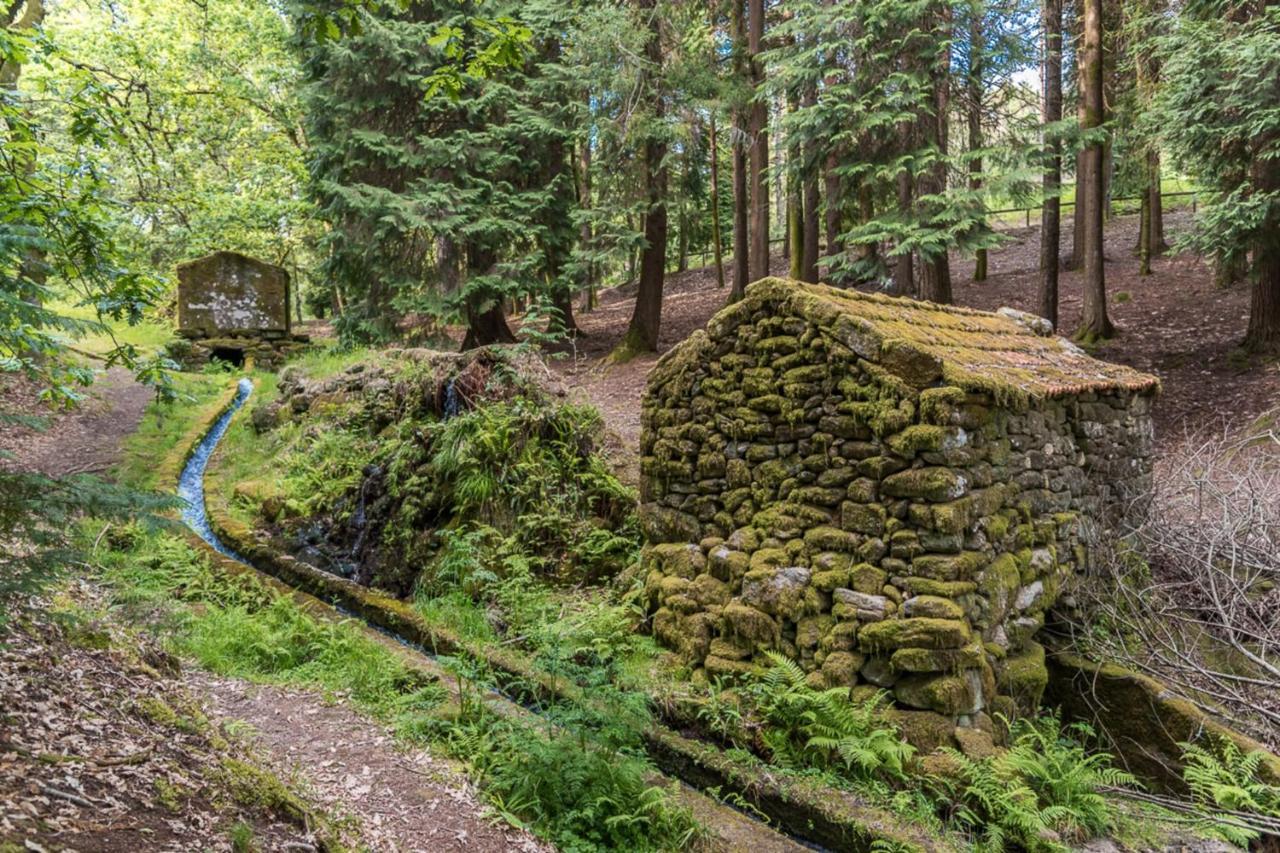 Casa Da Torre - Paraiso No Norte De Portugal Cabeceiras de Basto ภายนอก รูปภาพ
