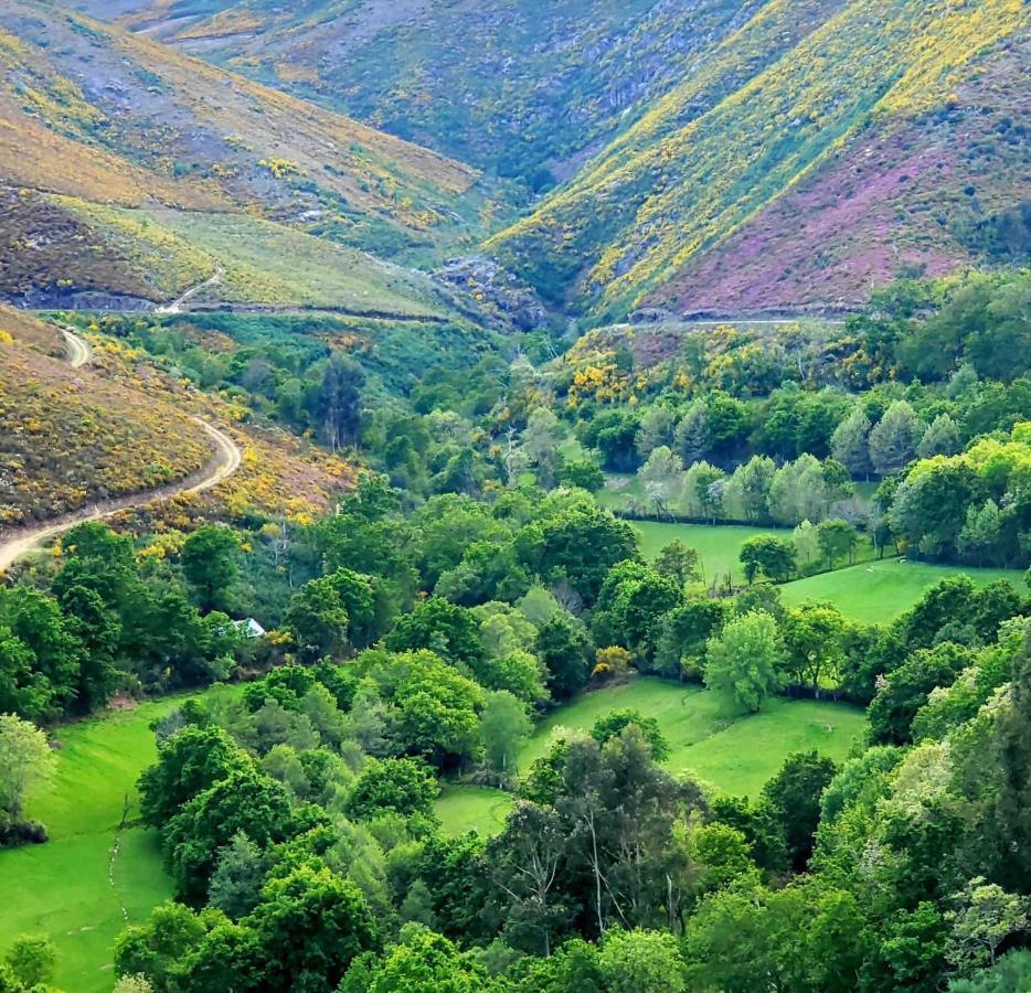 Casa Da Torre - Paraiso No Norte De Portugal Cabeceiras de Basto ภายนอก รูปภาพ
